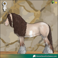 Horse Color:Amber Champagne Dun Sabino Rabicano 