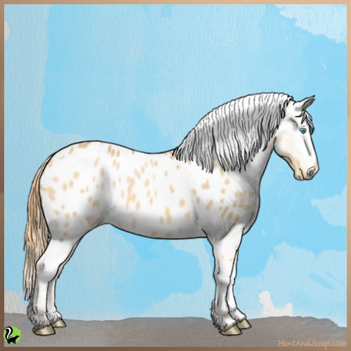 Horse Color:Amber Cream Champagne Dun Near Leopard Rabicano