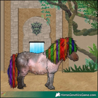 Horse Color:Painted Liver Chestnut