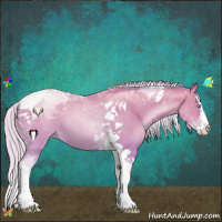 Horse Color:Watercolor Silver Amber Cream Champagne Pearl Splash Tobiano 