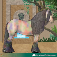 Horse Color:Nacre Bay Dun 