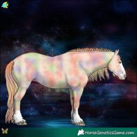 Horse Color:Nacre Gold Champagne Dun Rabicano 
