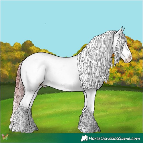 Horse Color:Watercolor Silver Sable Champagne Splash Tobiano Appaloosa  and Painted Gold Champagne Dun Appaloosa 