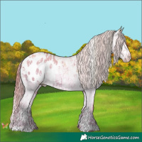 Horse Color:Watercolor Silver Sable Champagne Splash Tobiano Appaloosa  and Painted Gold Champagne Dun Appaloosa 