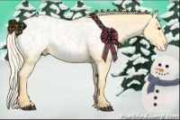 Horse Color:Palomino Dun Blanket and Palomino Roan Dun Blanket