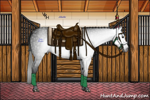 Horse Color:Gray Black 