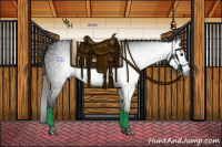 Horse Color:Gray Black 