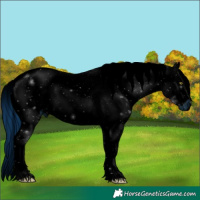 Horse Color:ERROR: UNKNOWN ANOMALY