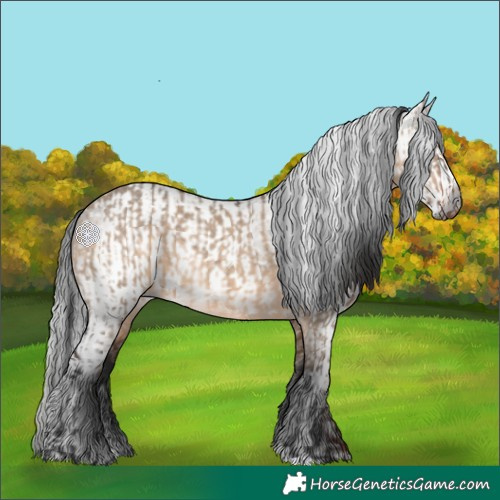Horse Color:Brown Dun and Gray Brown Dun