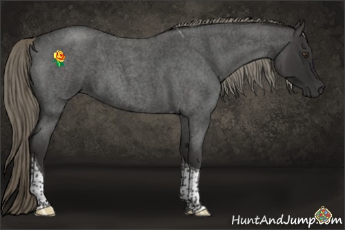 Horse Color:Liver Red Roan Mushroom Tobiano 