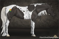 Horse Color:Liver Chestnut Mushroom Tobiano 
