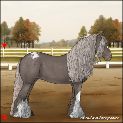 Horse Color:Silver Blue Roan Appaloosa 