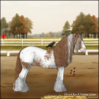 Horse Color:White Spotted Chestnut Splash Snowcap 
