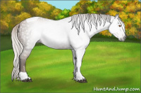 Horse Color:Gray Silver Black Pearl Tobiano