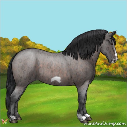 Horse Color:Brown Ice Roan Frame 