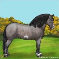 Horse Color:Brown Ice Roan Frame 