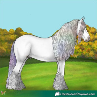 Horse Color:Gray Nacre Watercolor Liver Chestnut Ice Sabino Blanket