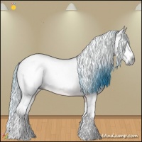 Horse Color:Gray Watercolor Bay Dun Splash