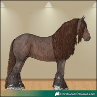 Horse Color:Gray Chestnut Ice 
