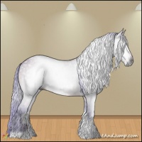 Horse Color:Gray Watercolor Bay Ice Tobiano