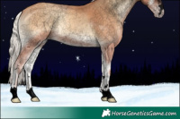 Horse Color:Void Silver Classic Champagne Onyx 