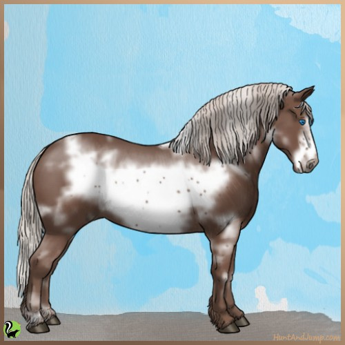 Horse Color:White Spotted Silver Black Frame 