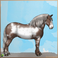 Horse Color:White Spotted Silver Black Frame 
