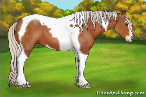Horse Color:Silver Bay Sabino Tobiano 