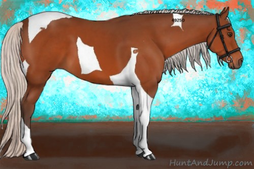 Horse Color:Silver Brown Tobiano 