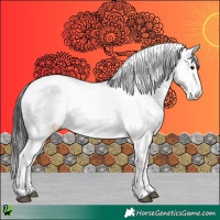 Horse Color:White Spotted Buckskin Near Leopard 