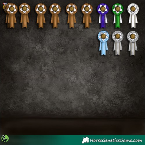 Horse Color:Brown Sabino 