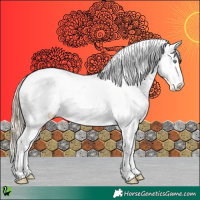Horse Color:Gold Cream Champagne Dun Appaloosa 