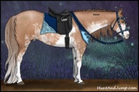 Horse Color:Brown Pearl Sabino 
