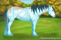 Horse Color:Thunderstruck Bay Ice Roan Onyx Splash Frame 