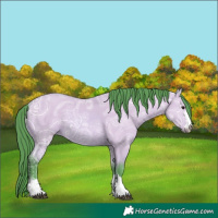 Horse Color:Watercolor Bay Ice Dun 