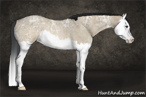 Horse Color:Brown Ice Roan Dun Splash Rabicano 