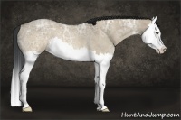 Horse Color:Brown Ice Roan Dun Splash Rabicano