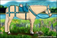 Horse Color:Palomino Dun 