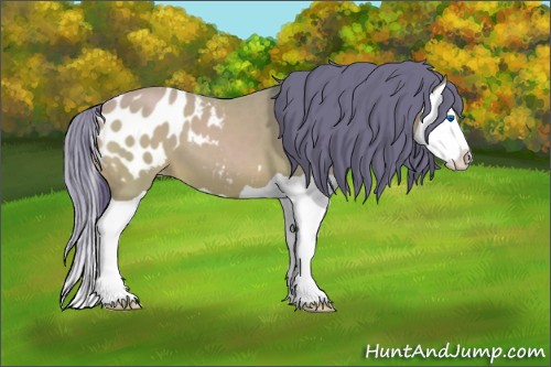 Horse Color:Watercolor Amber Champagne Splash Appaloosa 