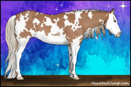 Horse Color:White Spotted Chestnut Splash 