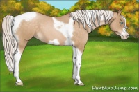 Horse Color:Silver Buckskin Roan Pearl Tobiano Frame 