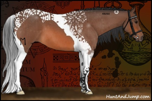 Horse Color:Bay Roan Tobiano 