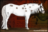 Horse Color:Silver Bay Splash Tobiano 
