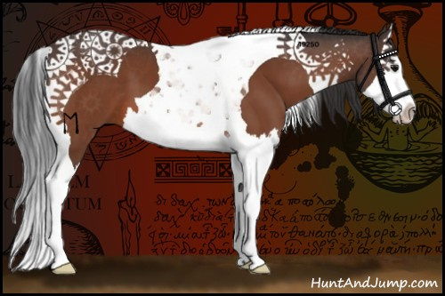 Horse Color:Bay Splash Tobiano 