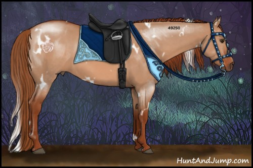 Horse Color:White Spotted Red Dun 