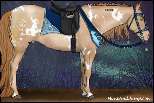 Horse Color:White Spotted Chestnut Pearl Rabicano 
