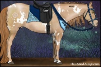 Horse Color:White Spotted Chestnut Pearl Rabicano 
