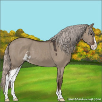 Horse Color:Silver Grullo Sabino