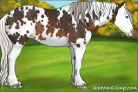 Horse Color:White Spotted Silver Buckskin Splash 