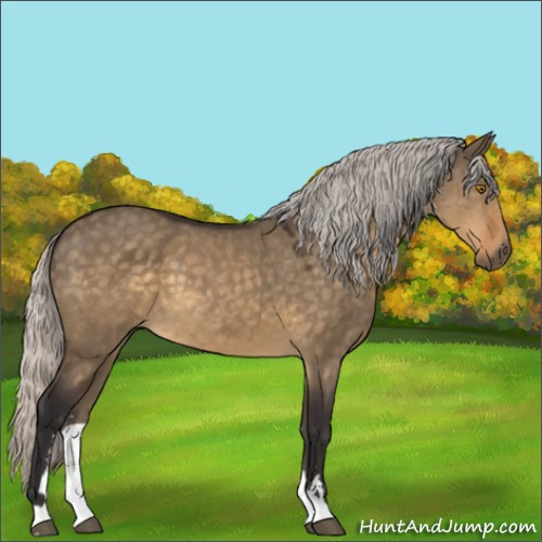 Horse Color:Silver Buckskin Dun Mushroom Sabino 